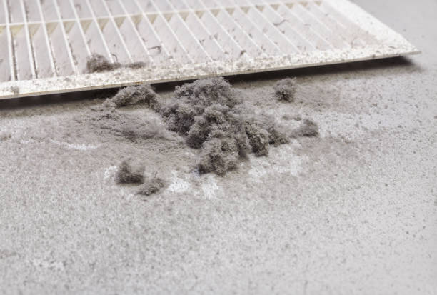 Best Residential Air Duct Cleaning  in Rosenberg, TX