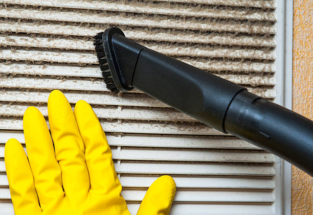 Best Air Duct Cleaning Company Near Me  in Rosenberg, TX